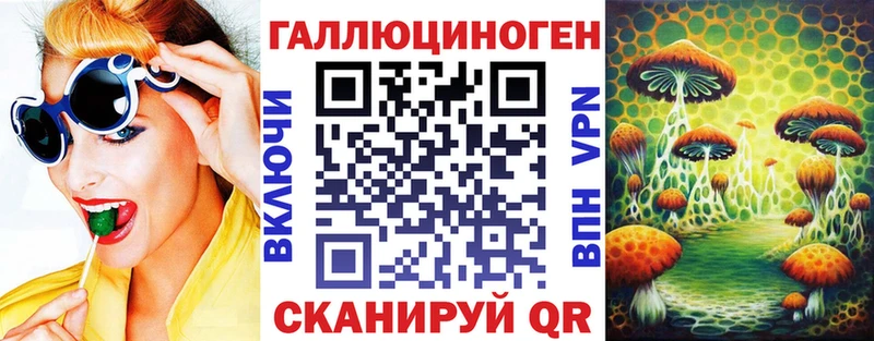 Псилоцибиновые грибы Psilocybine cubensis  Петров Вал 